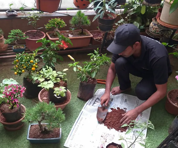 Balcony Garden Setup service in Pune — professional balcony garden setup by Pune Greens