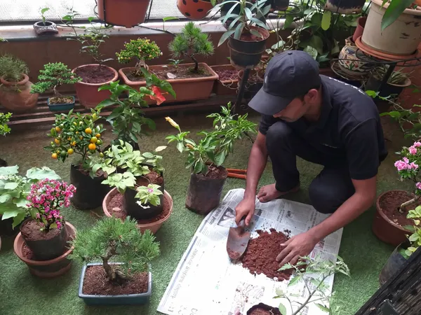 Balcony Garden Setup service in Pune — professional balcony garden setup by Pune Greens