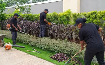 Garden Maintenance Cost in Pune — Complete 2026 Guide — Pune Greens blog