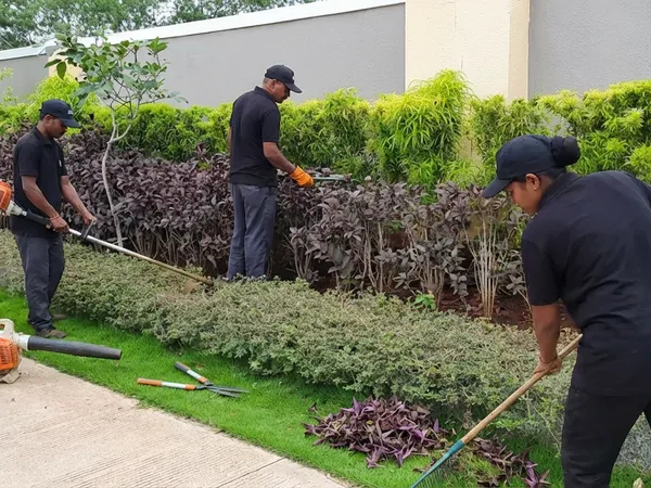 Garden Maintenance service in Pune — professional garden maintenance by Pune Greens