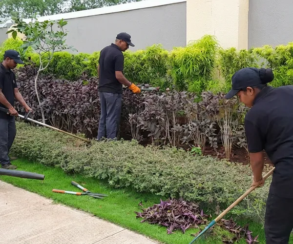 Garden Maintenance service in Pune — professional garden maintenance by Pune Greens