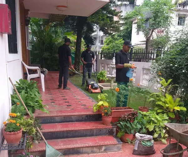 Garden Maintenance Services in Pune: professional garden maintenance services by the Pune Greens team