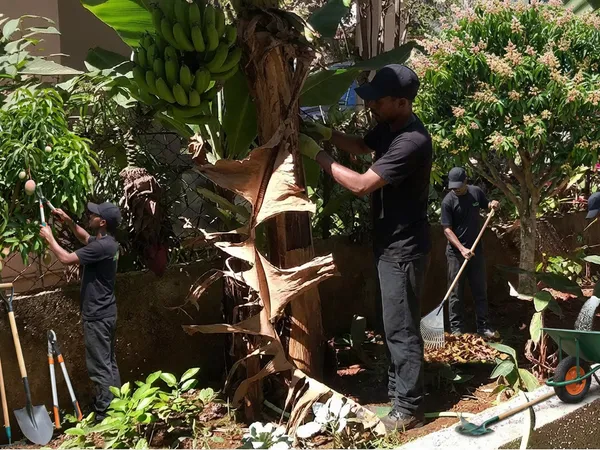 Landscape Design service in Pune — professional landscape design by Pune Greens