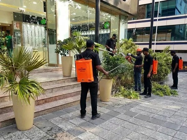 Plant Rental service in Pune — professional plant rental by Pune Greens