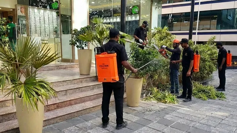 Best Indoor Plants for Offices in Pune — Expert Recommendations — Pune Greens blog