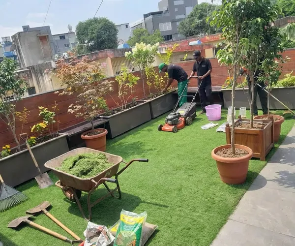 Terrace Garden Services service in Pune — professional terrace garden services by Pune Greens
