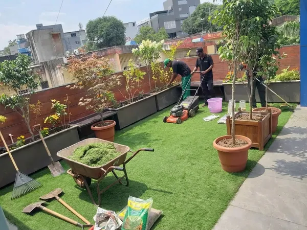 Terrace Garden Setup service in Pune — professional terrace garden setup by Pune Greens