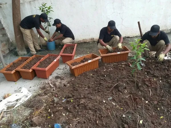Society Garden Maintenance service in Pune — professional society garden maintenance by Pune Greens