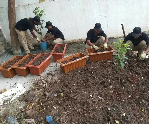 Society Garden Maintenance service in Pune — professional society garden maintenance by Pune Greens