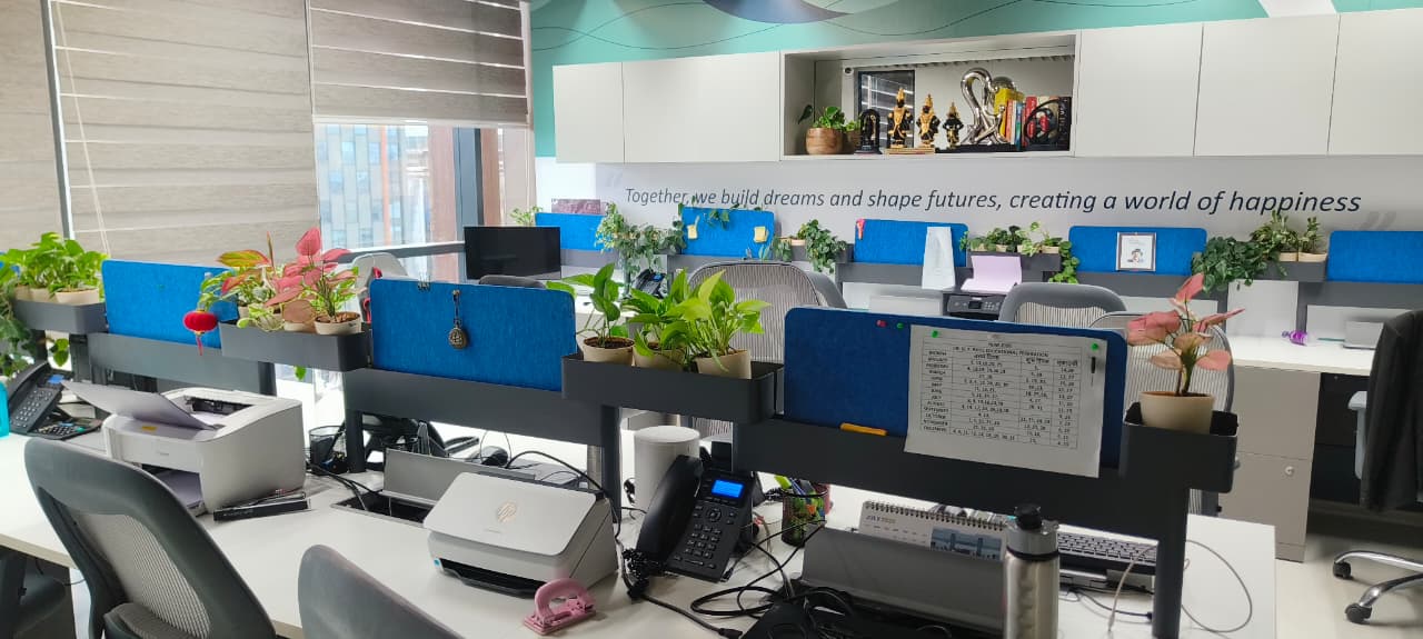 Selection of best indoor plants available on rent in Pune